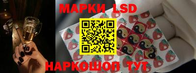 PSILOCYBIN Донской