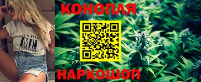 бошки Дубна