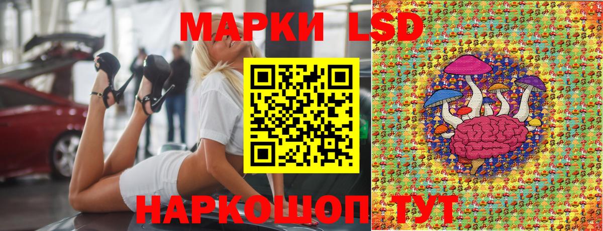 Губкинский  Марки N-bome 1500мкг  Вход с VPN 